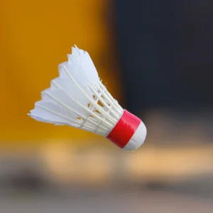 Shuttlecock