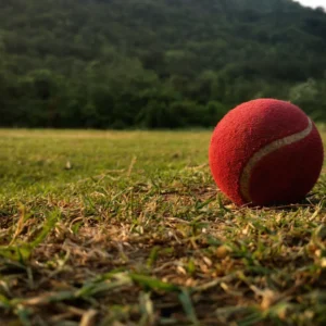 Cricket Ball