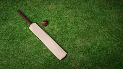 cricket bats online